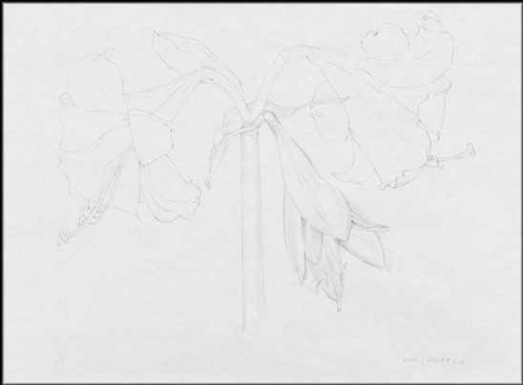 Mary Frances West Pratt (1935-2018) - Amaryllis 2B