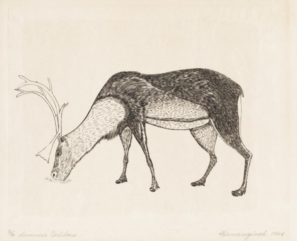 Kananginak Pootoogook (1935-2010) - Summer Caribou