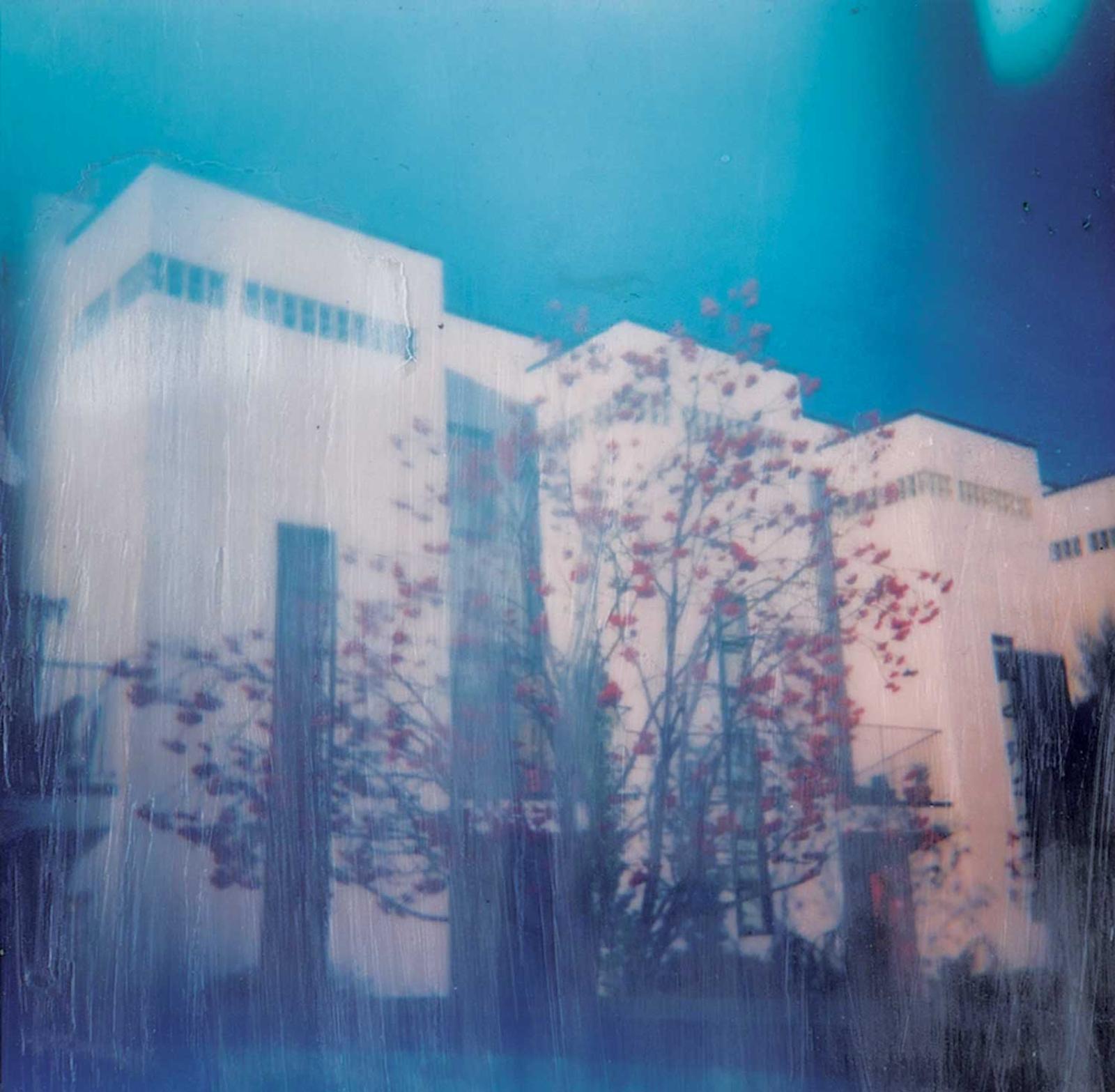 Sonia Rakchaev - Connaught Gardens, 1250, 1262 - 10th Street SW