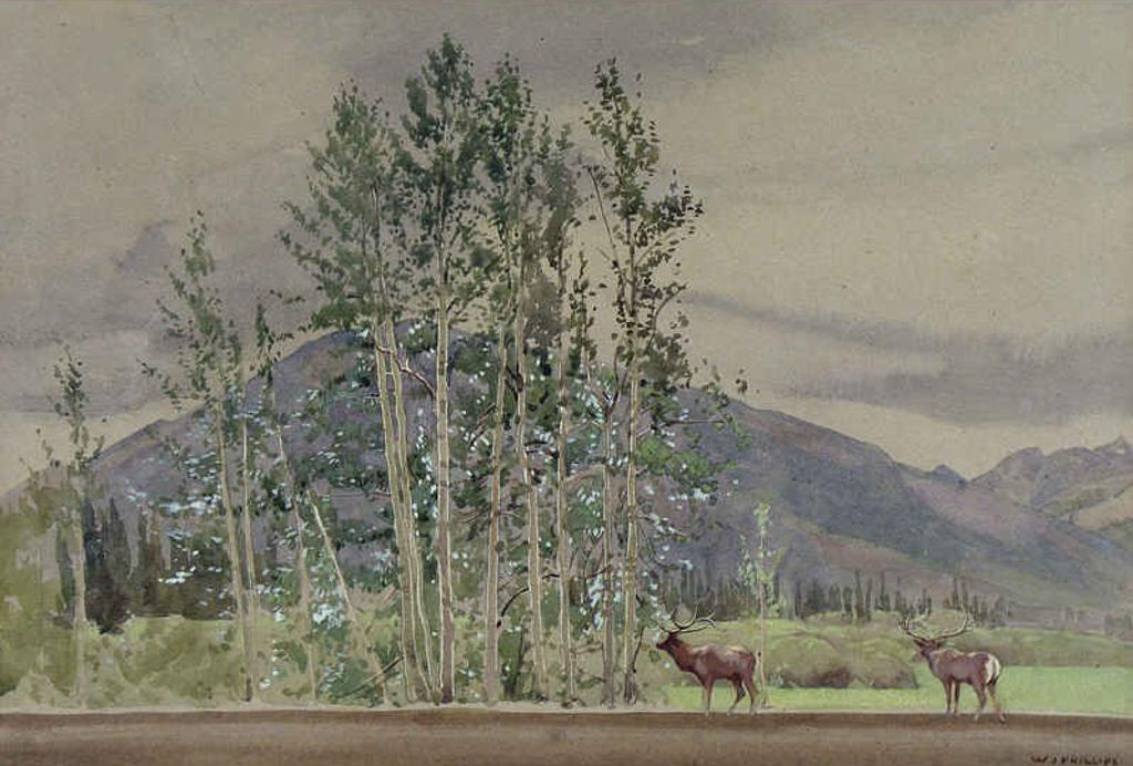 Walter Joseph (W.J.) Phillips (1884-1963) - Untitled