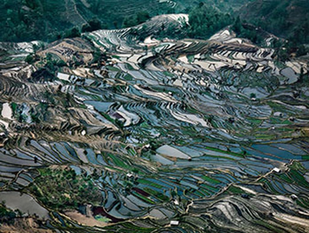 Edward Burtynsky (1955) - Rice Terraces #5, Western Yunnan Province, China