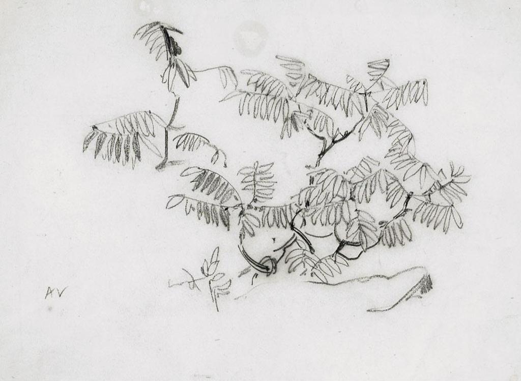 Arthur Lismer (1885-1969) - Study Of Leaves