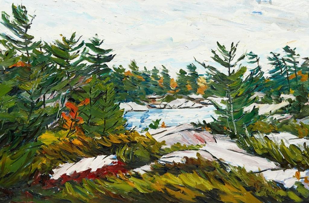 Bruce Steinhoff (1959) - Franklin Island, Georgian Bay