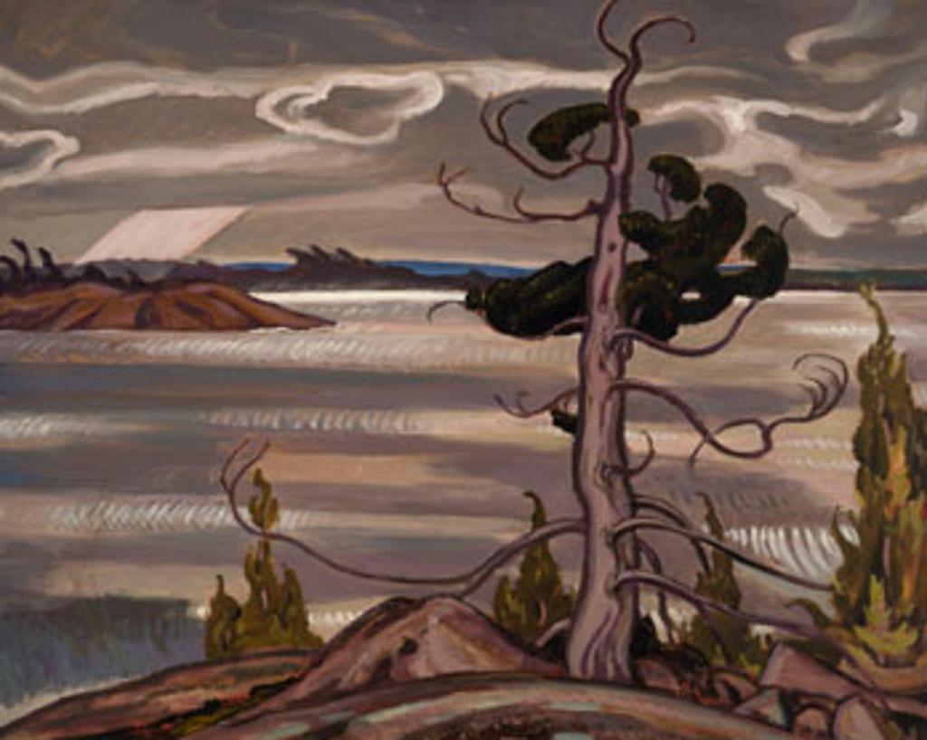 Alexander Young (A. Y.) Jackson (1882-1974) - Red Cedar