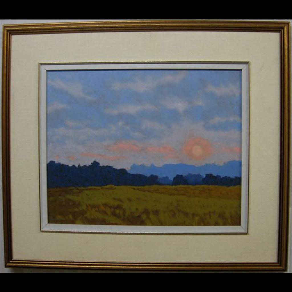 Philip Sybal (1949) - Vincent’S Field