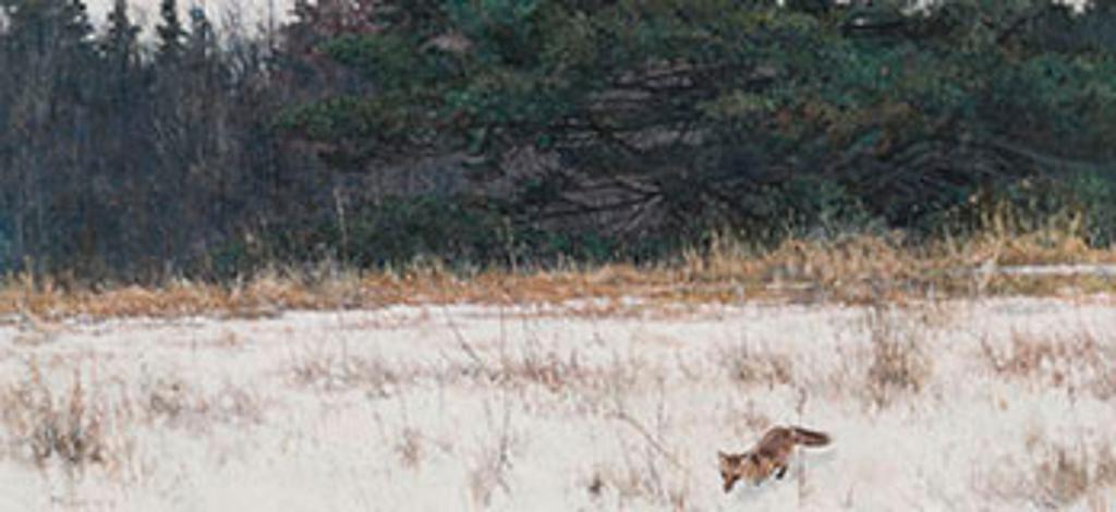 George Elson Mclean (1939) - Red Fox Running