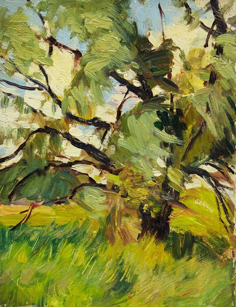 Frederic Martlett Bell-Smith (1846-1923) - Study of a Tree