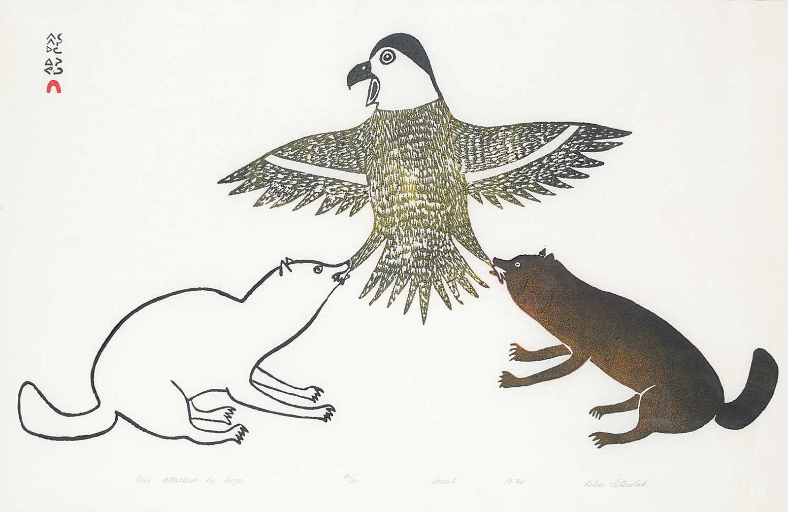 Pitseolak - Owl Attacked by Dogs #46/50