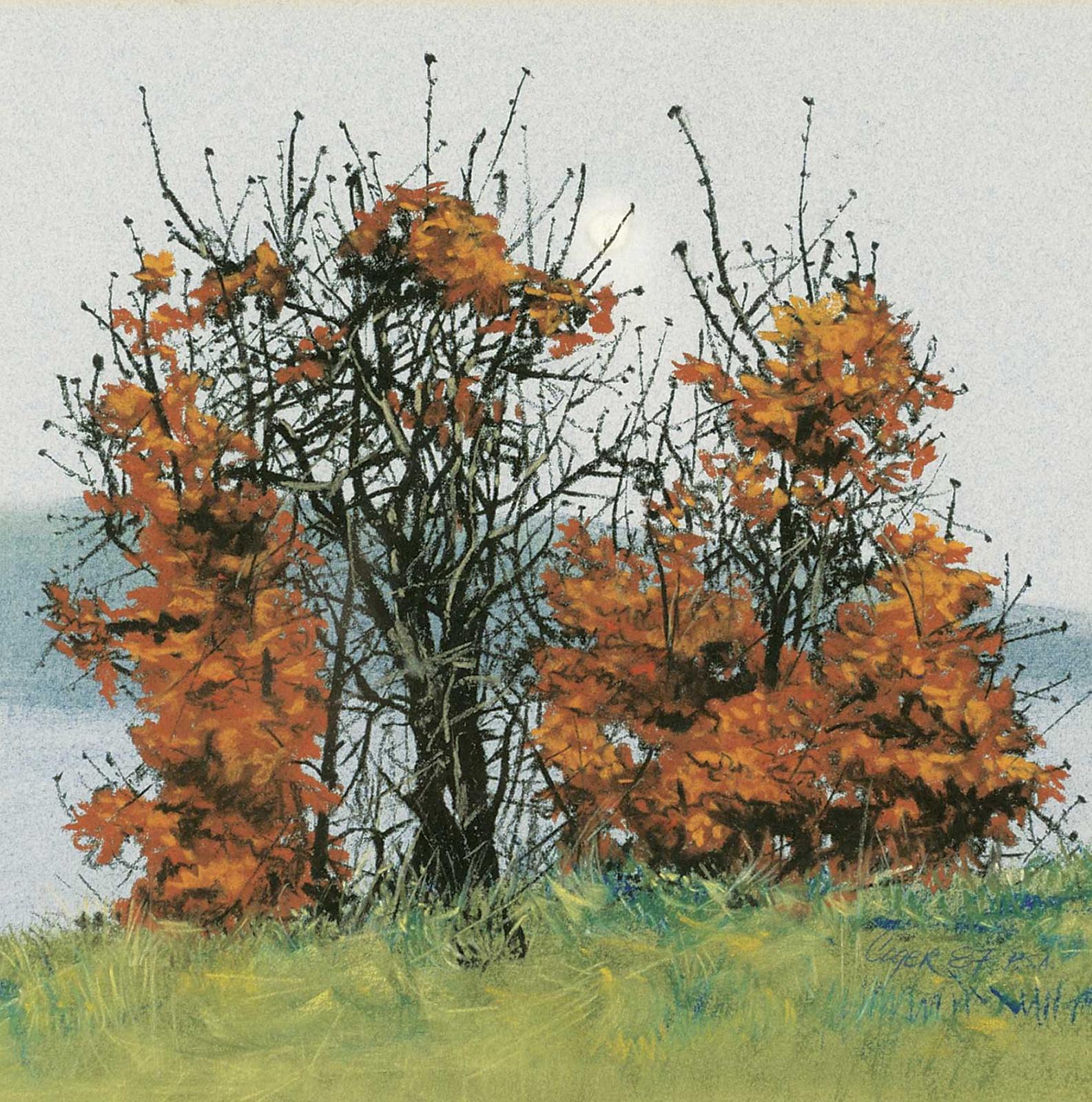 Carl Codger - Small Oaks