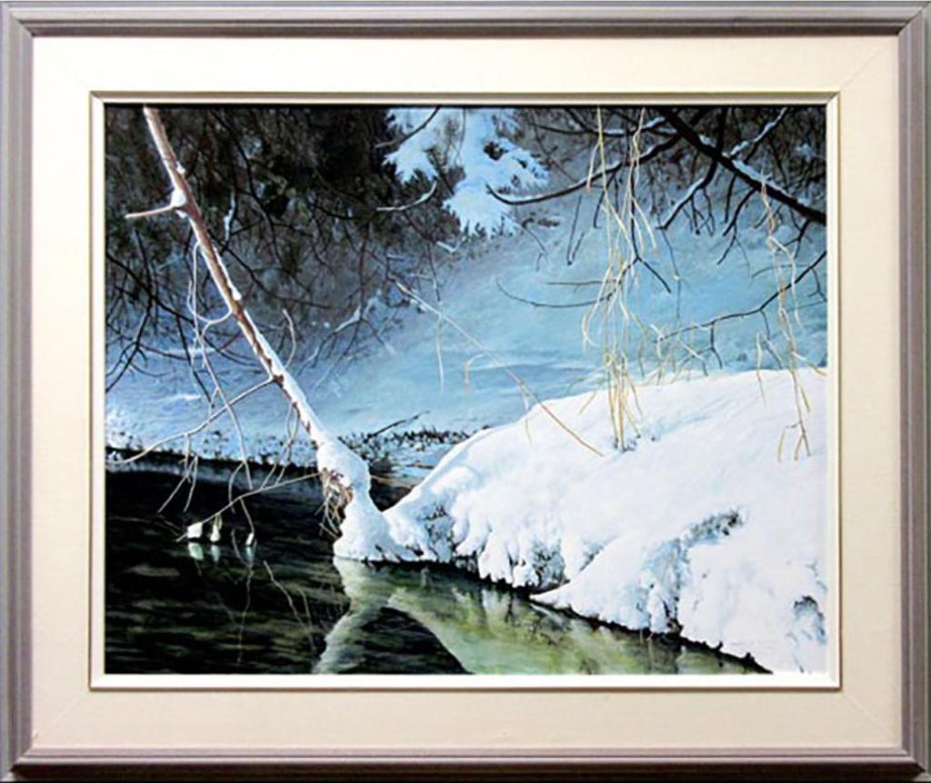 Grant Bourne Hillman (1935-2004) - Reflections