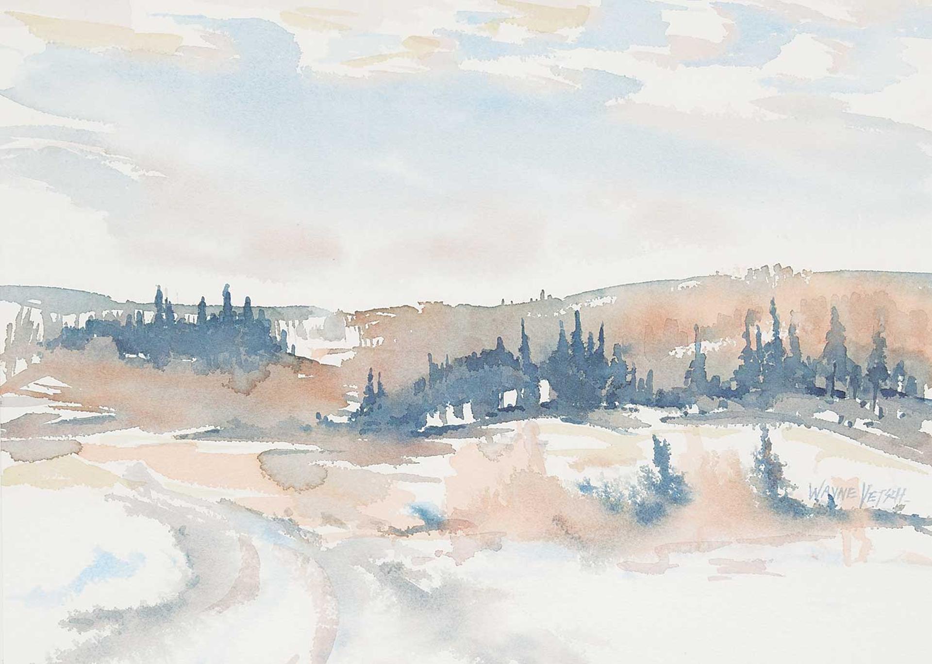 Wayne Vetsch - Early Spring Road