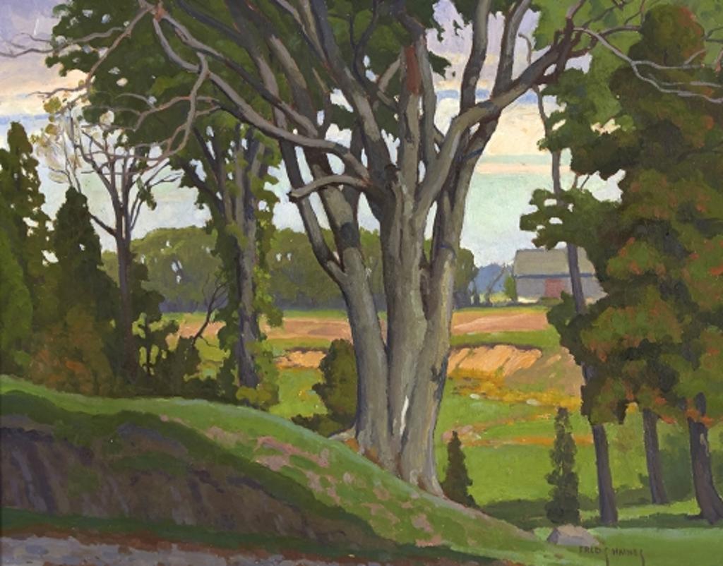 Frederick Stanley Haines (1879-1960) - Neil's Valley, Thornhill