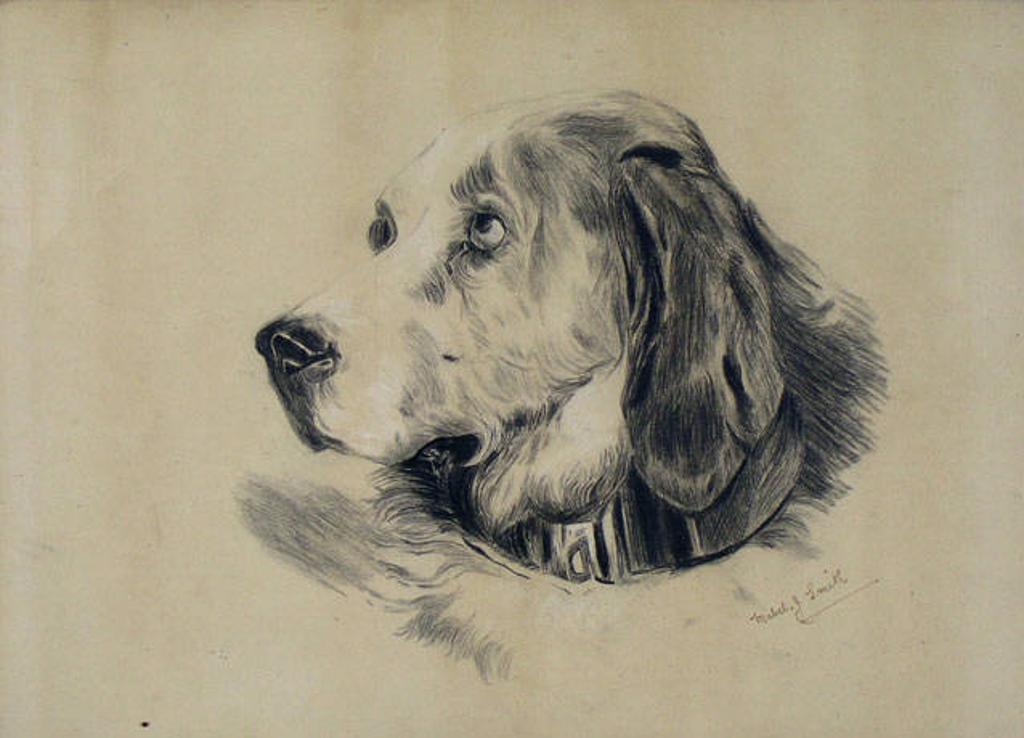 Mabel Josephine Smith - Untitled