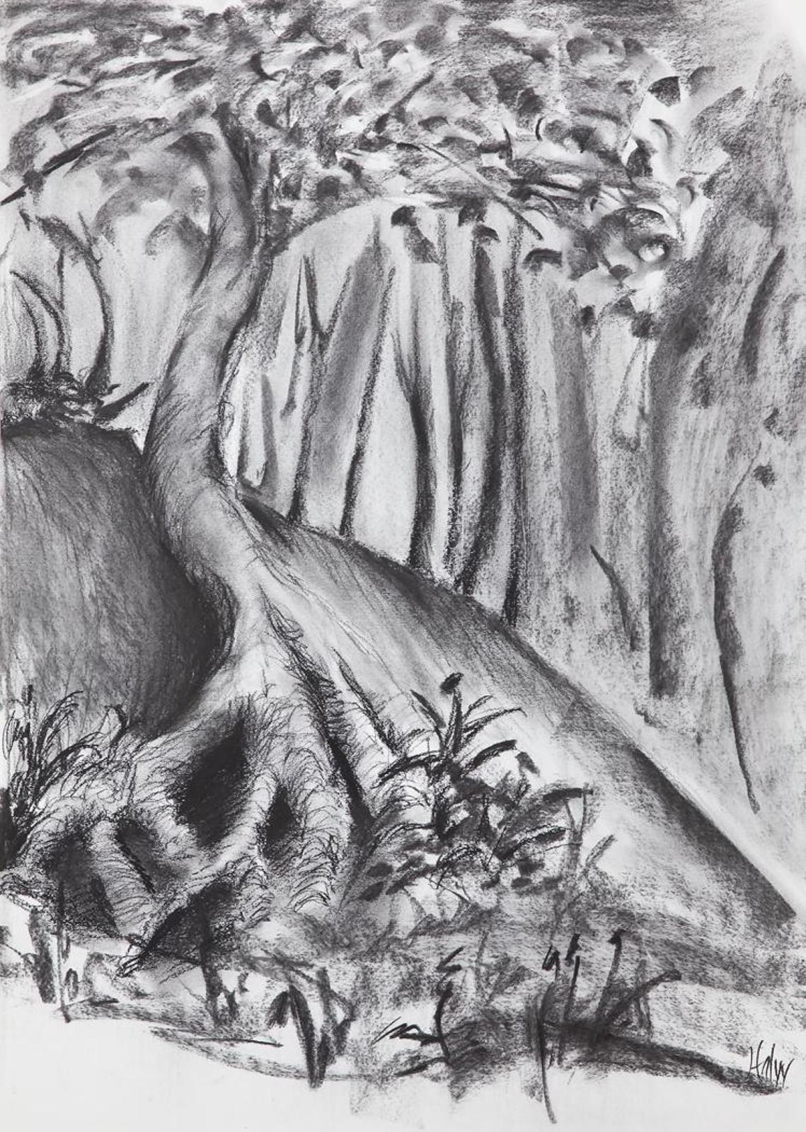 Jennifer Falvy - Forest Study # 5