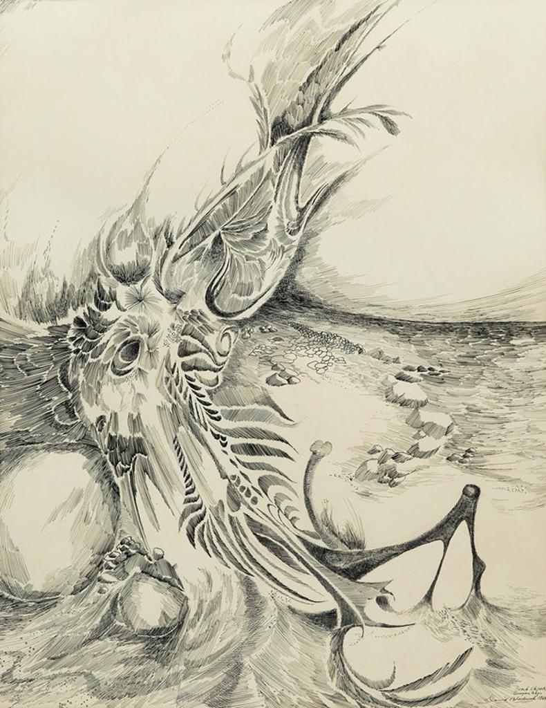 David Lloyd Blackwood (1941-2022) - Beach Object, Georgian Bay