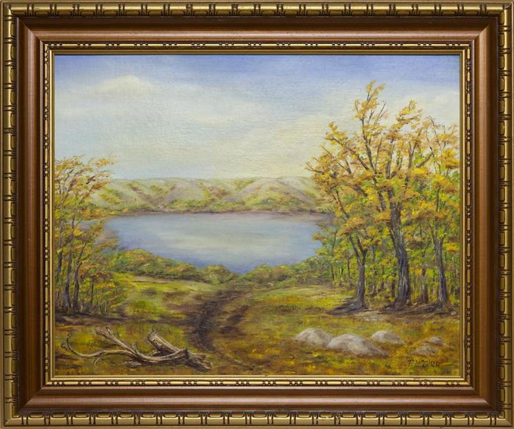 P. Mcgirr - On the Road to the Sioux