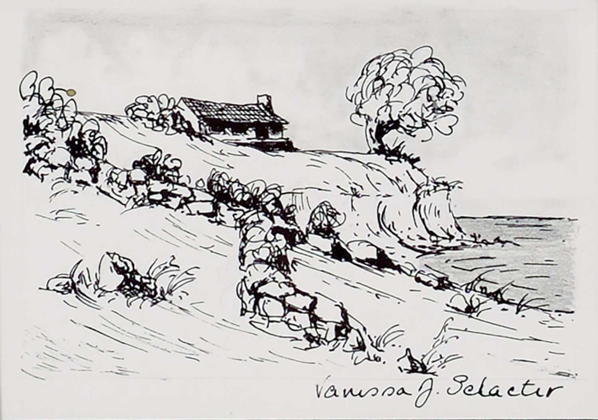 Vanessa J. Schacter - Untitled - House on the Cliff