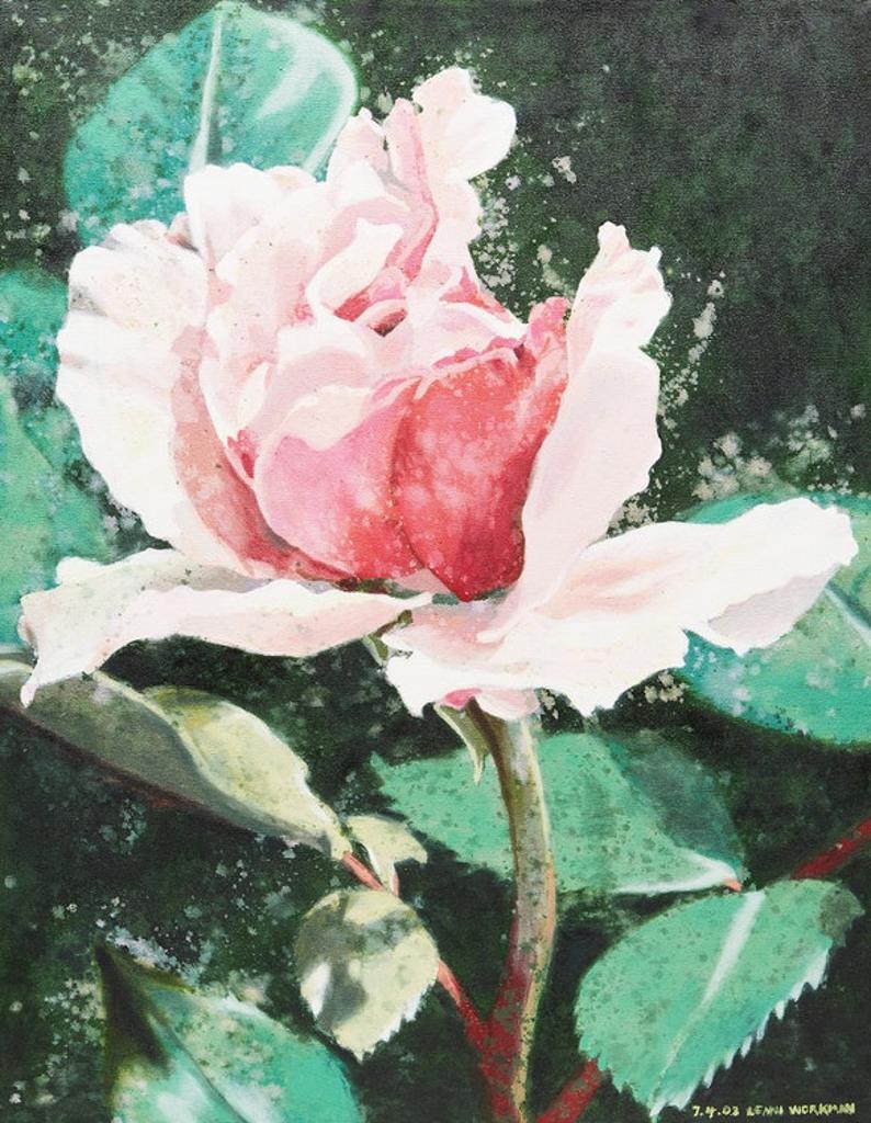 Lenni Workman (1949) - Rose