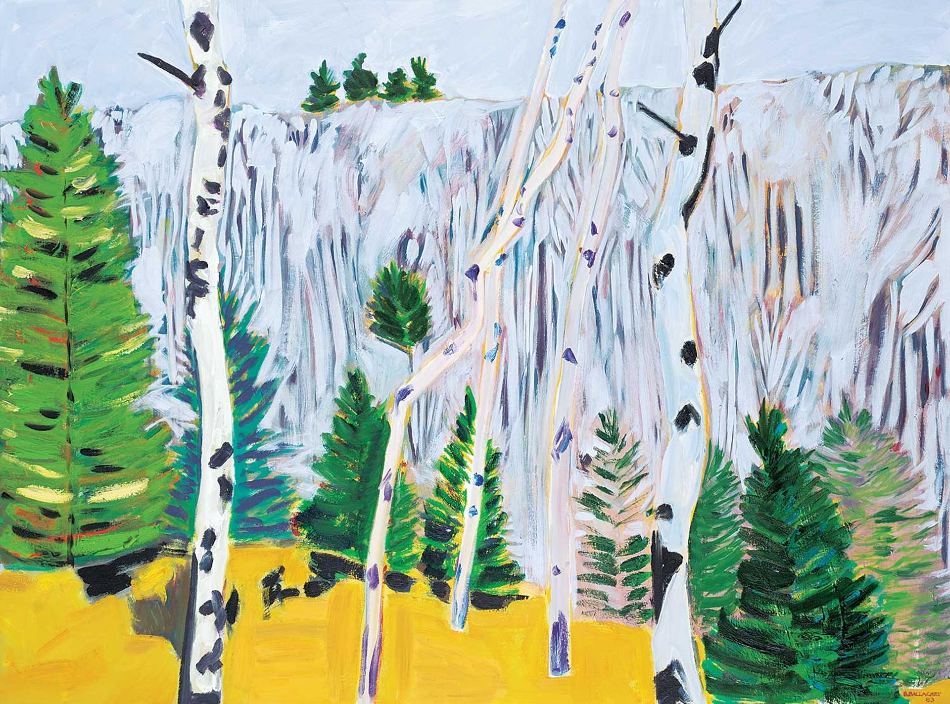Barbara Ballachey (1949) - Grey Ridge