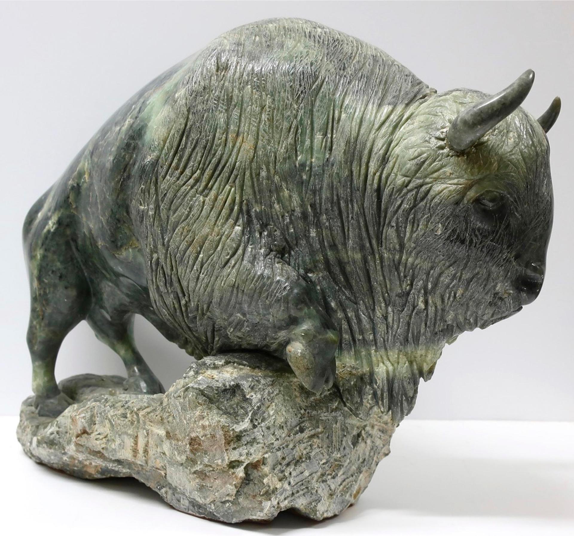 Arend Nieuwland (1947) - Buffalo
