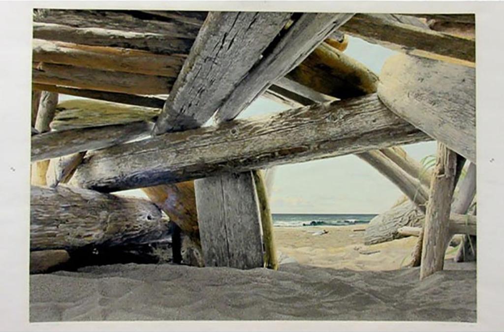 Richard Thomas Davis (1947) - The Shelter