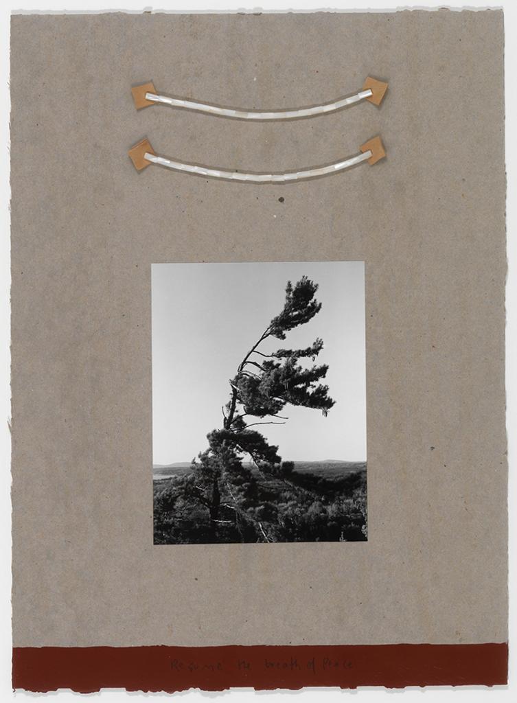 Greg Staats (1963) - Resume the Breath of Peace