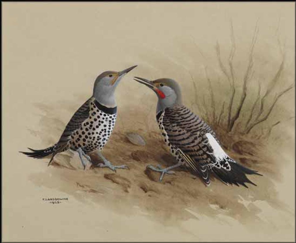 James Fenwick Lansdowne (1937-2008) - Red-Shafted Flicker