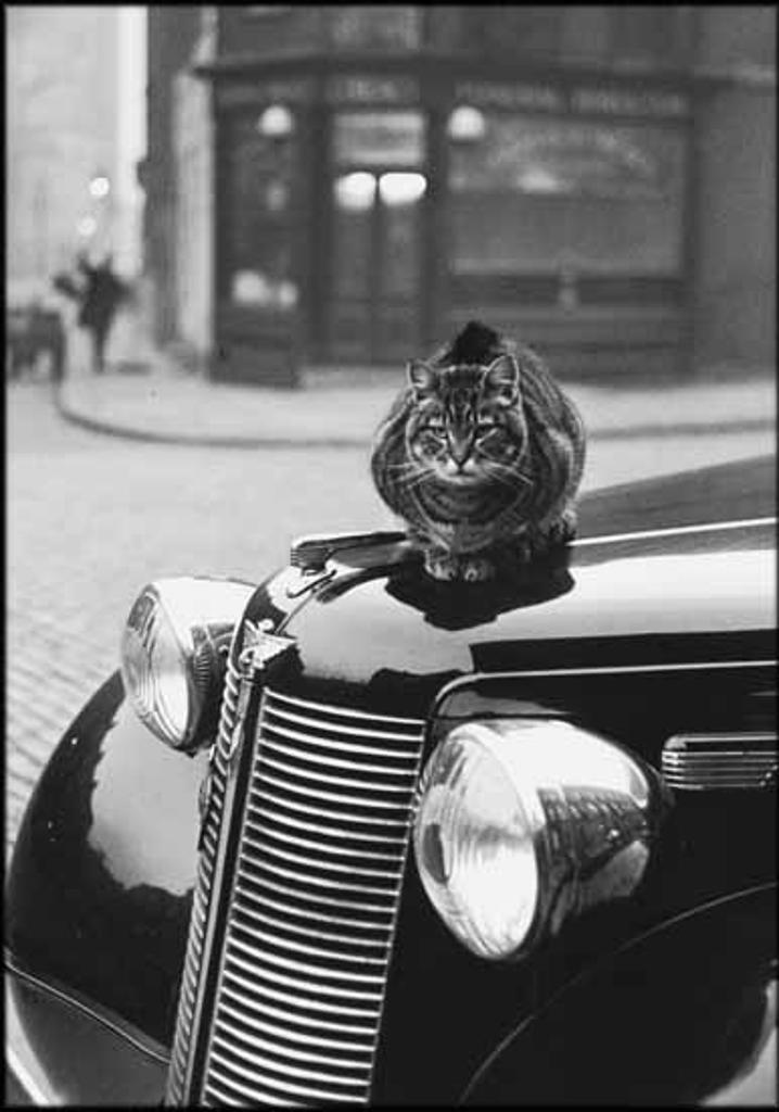 Thurston Hopkins (1913) - Keeping Warm, Islington, London