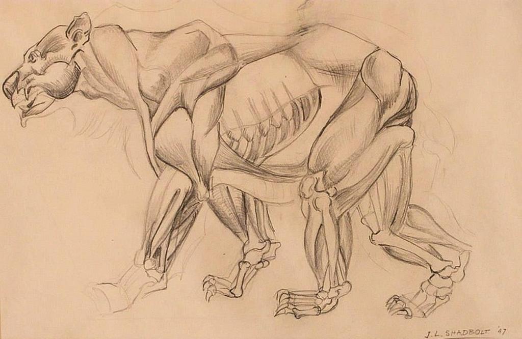 Jack Leaonard Shadbolt (1909-1998) - Bear