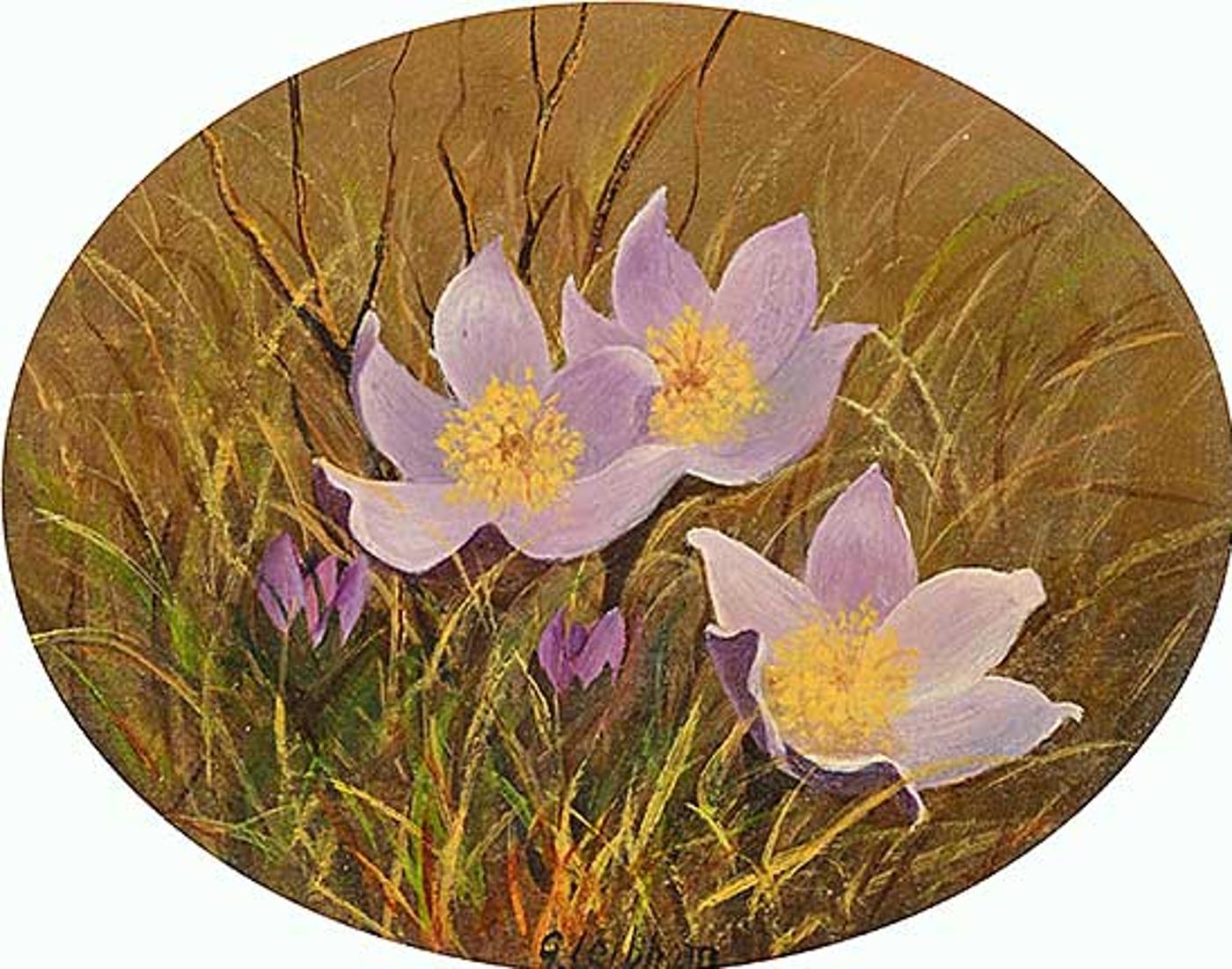 George Leibham - Untitled - Crocus