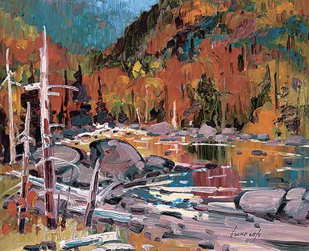 Bruno Côté (1940-2010) - Reflections