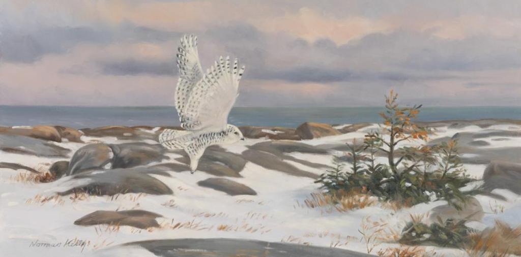 Norman Kelly (1939) - Hudson's Bay