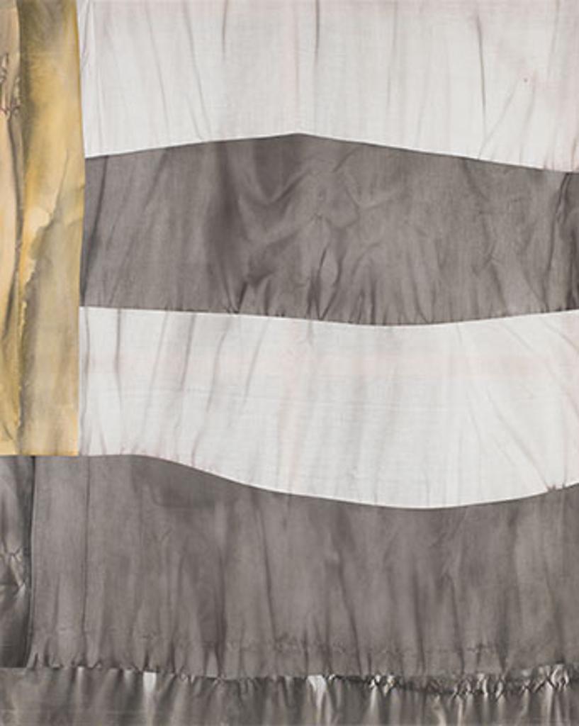 Colleen Heslin (1976) - Abstract