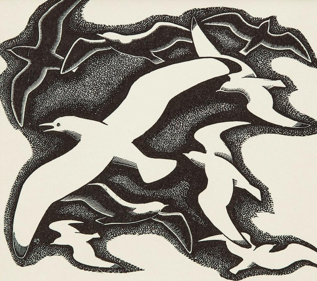 Edwin Headley Holgate (1892-1977) - Gulls