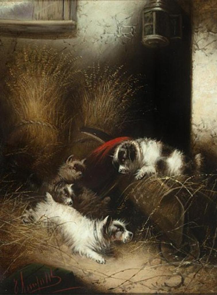 George Armfield (1808-1893) - Oil on canvas, signed & titled