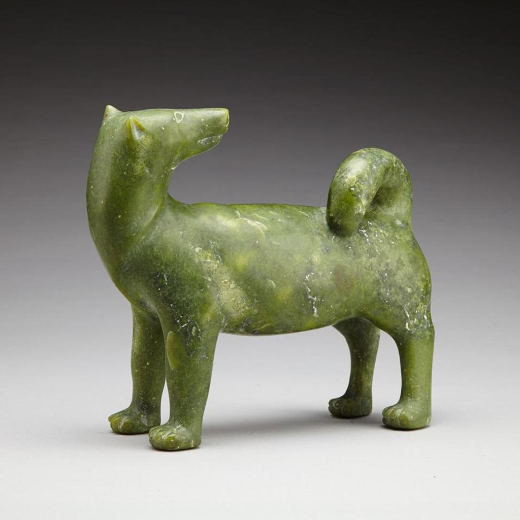 Paulassie Pootoogook (1927-2006) - Dog Looking Back