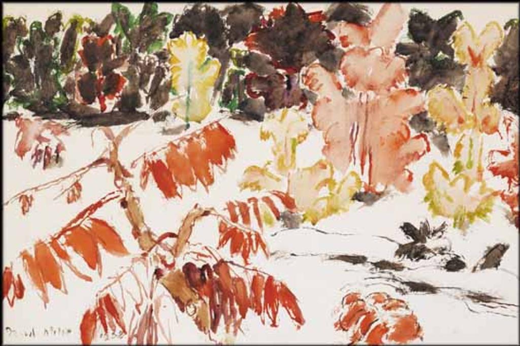 David Browne Milne (1882-1953) - Sumach and Maples, Six Mile Lake, Muskoka, Ontario