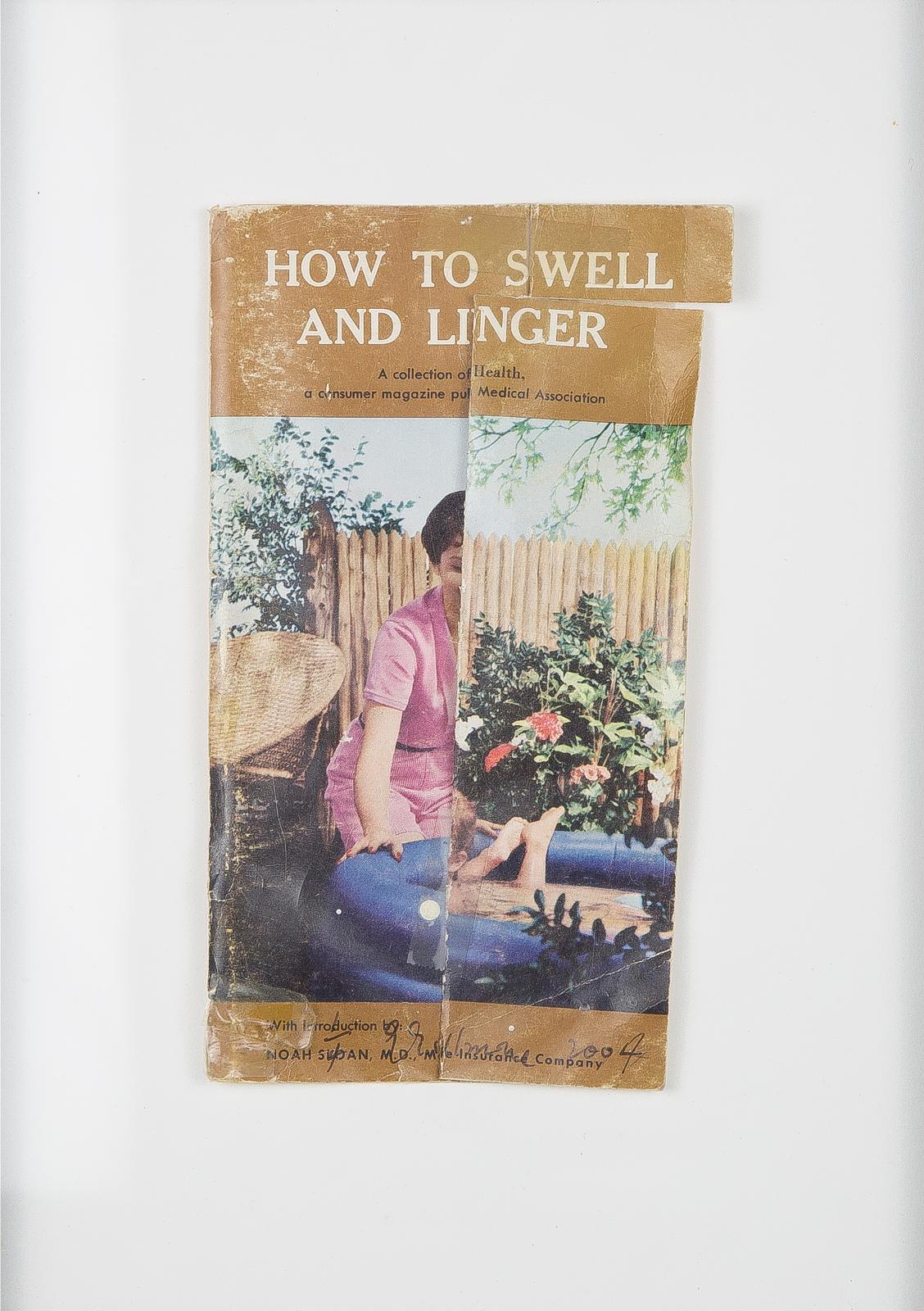 Graham Gillmore (1963) - How To Swell And Linger