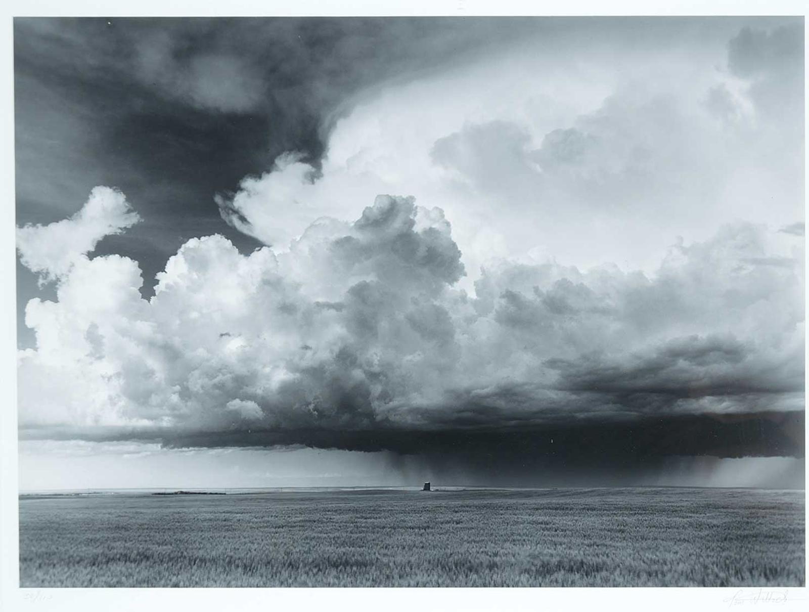 Tom Willock - Sleepy Hollow, Alberta #30/110