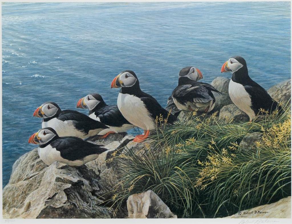 Robert Mclellan Bateman (1930-1922) - Untitled - Puffins