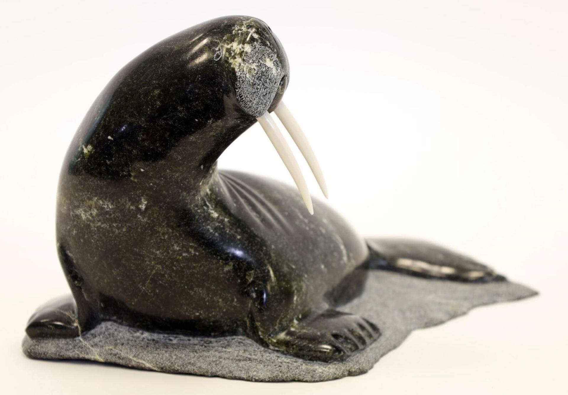 Johnny Palliser (1942) - a dark green serpentine carving of a Walrus