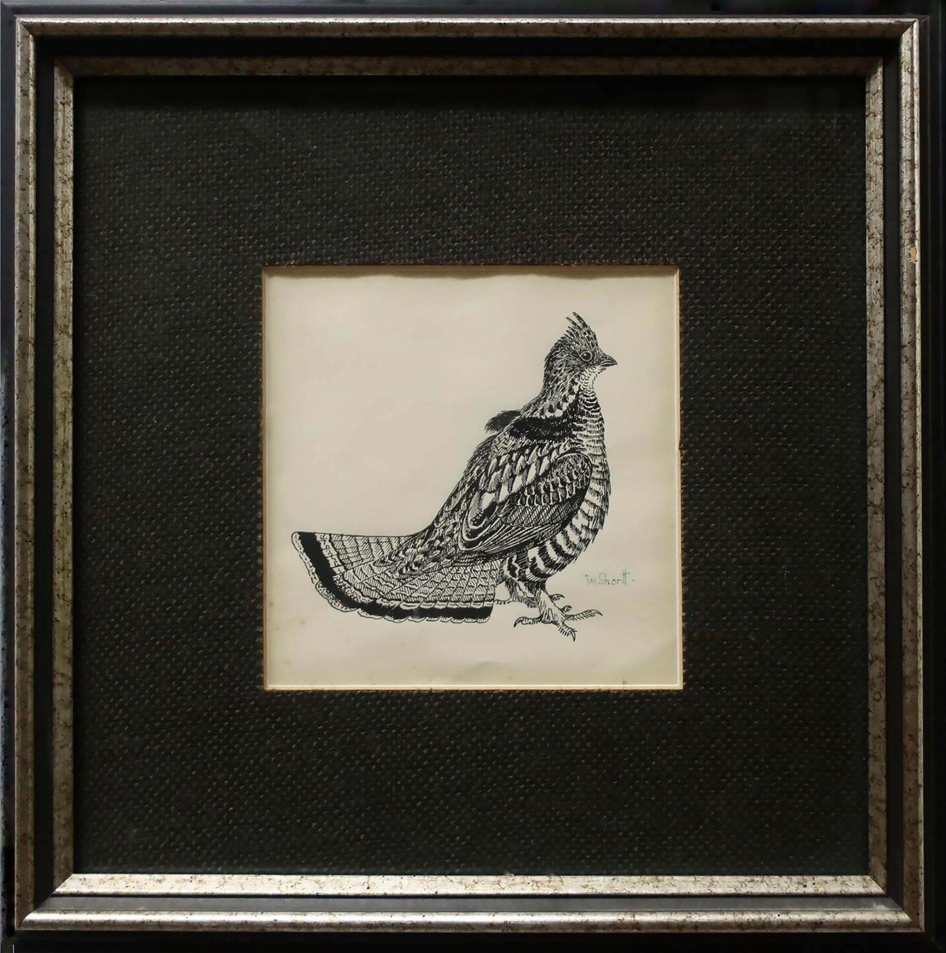 Terence Michael Shortt (1910-1986) - Pheasant