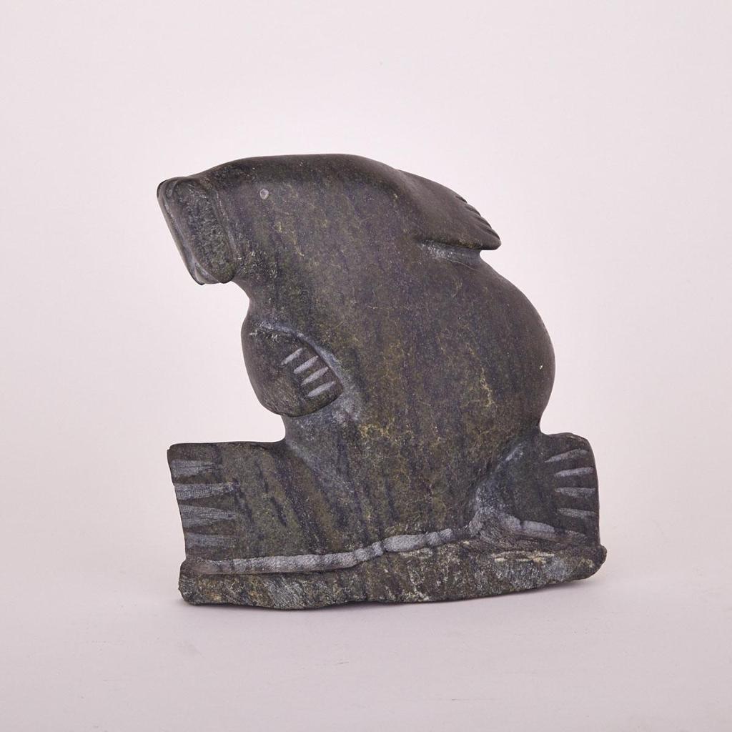 Noah Qiyuqtaq - Seal