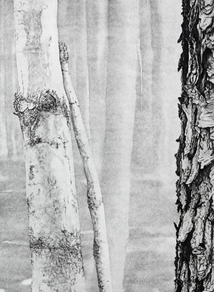 Jo Manning (1923-2022) - Woodlot II (04008)