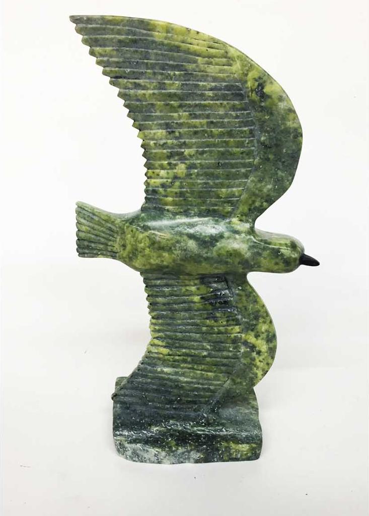 Guy Unisaiuq - Bird