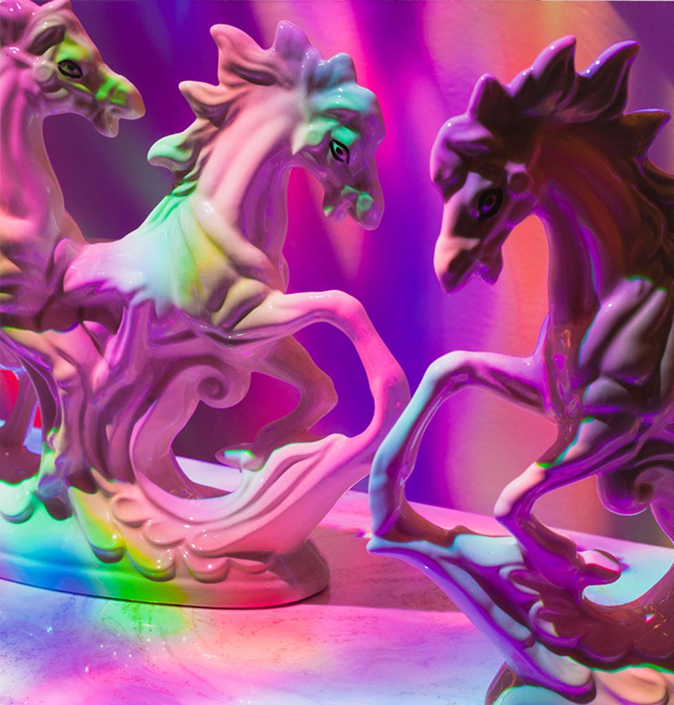 Dainesha Nugent-Palache - Porcelain Ponies