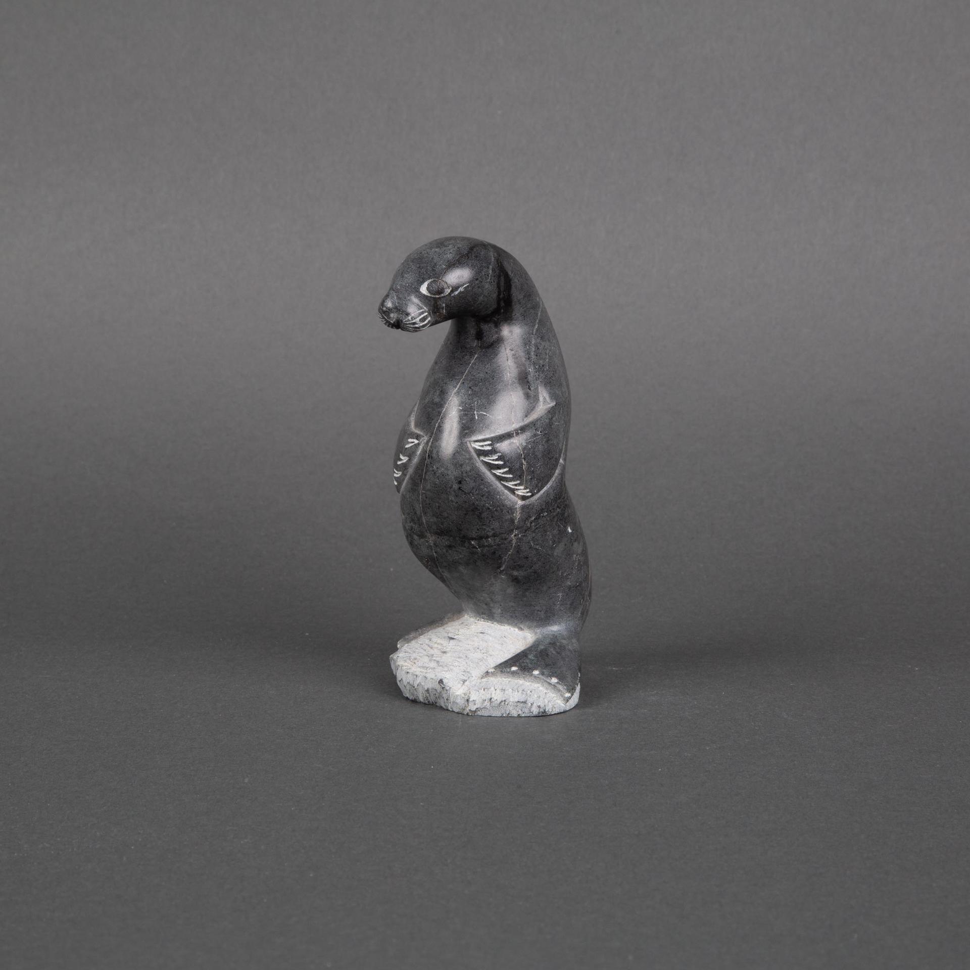 Thomassie Ikalu - Seal