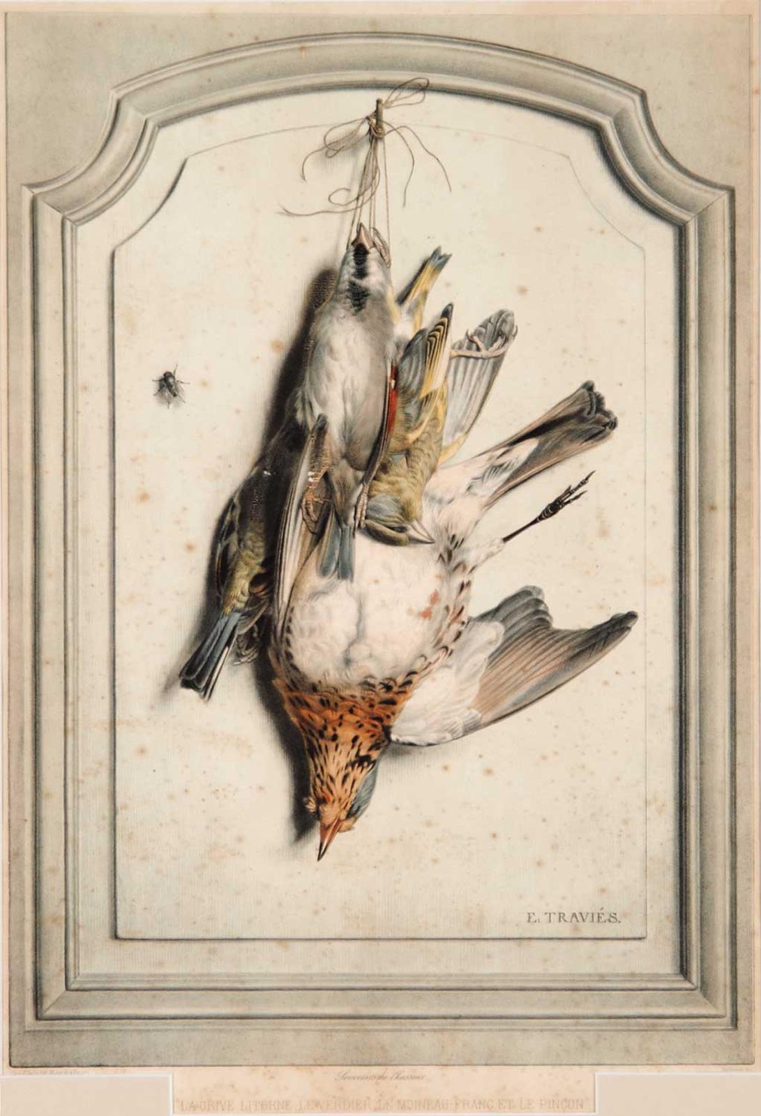 Edouard Travies - La Greive Litorne, le Verdier, le Moineau-Franc et le Pincon