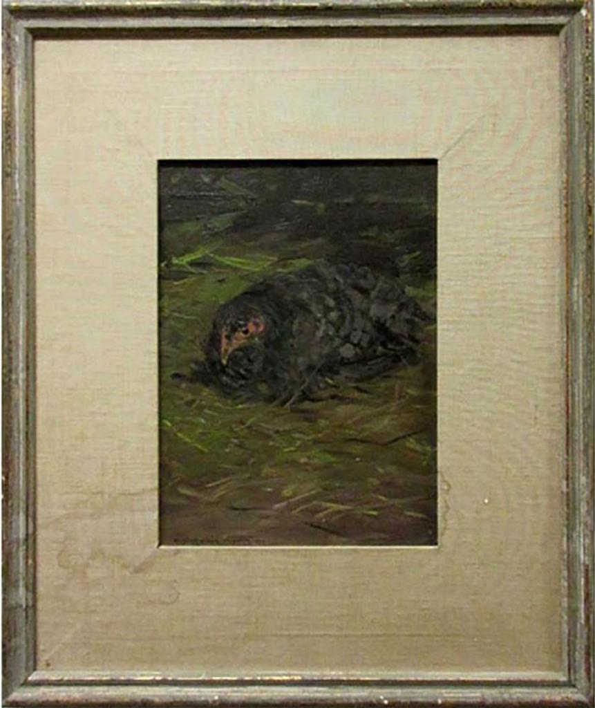 Elizabeth Mcgillivray Strachan Knowles (1866-1928) - Hen On Nest