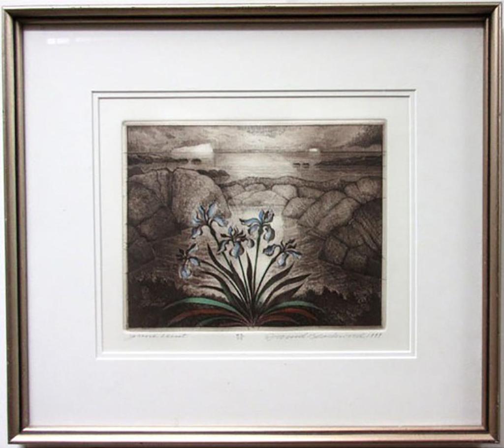 David Lloyd Blackwood (1941-2022) - June Visit